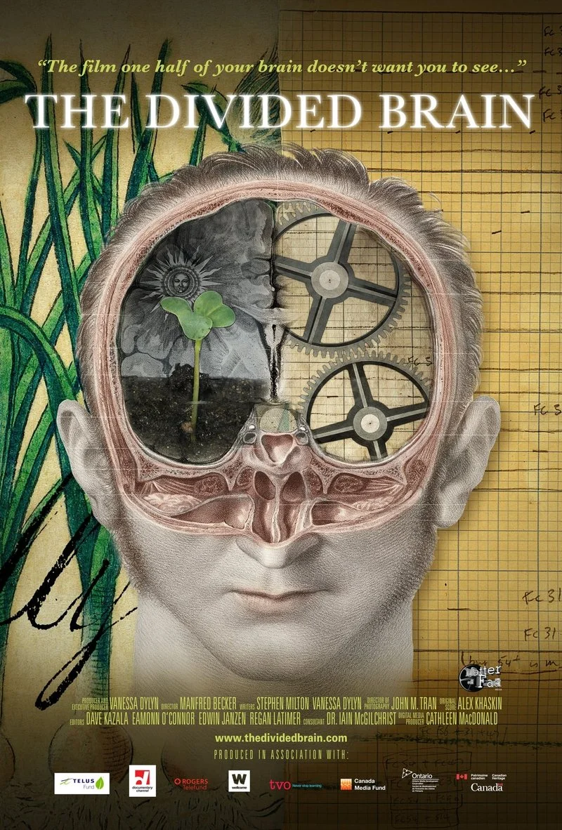 Poster van The Divided Brain