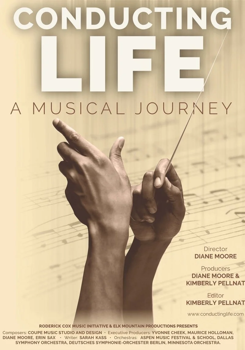 Affiche de Conducting Life
