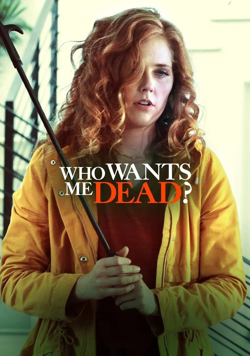 Poster van The Daughter Stalker