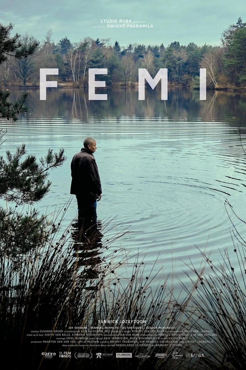 Affiche de Femi