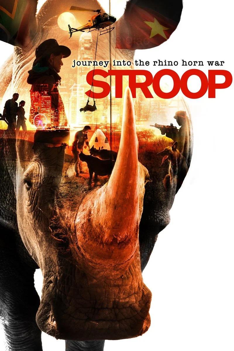 Poster van Stroop: Journey into the Rhino Horn War