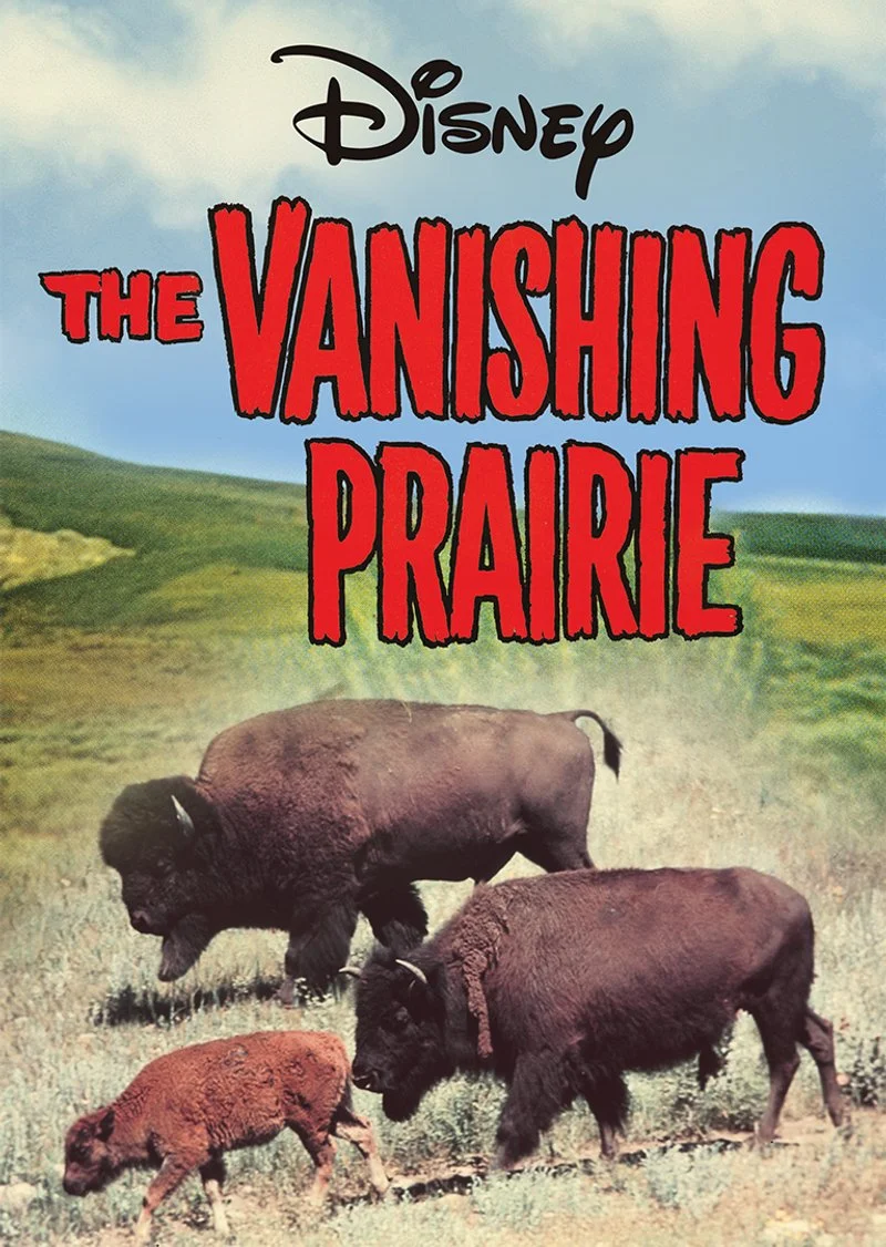 Poster van The Vanishing Prairie