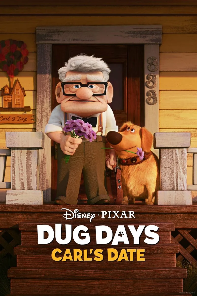 Affiche de Carls Date