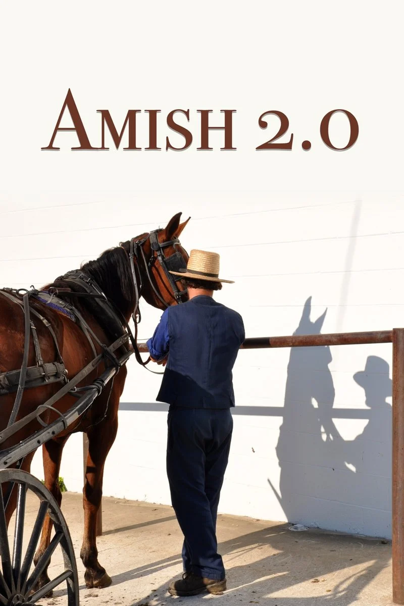 Poster van Amish 2.0