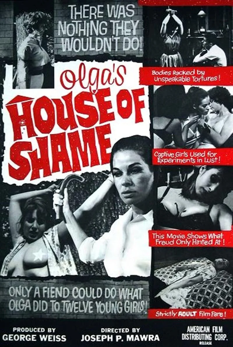Affiche de Olga's House of Shame