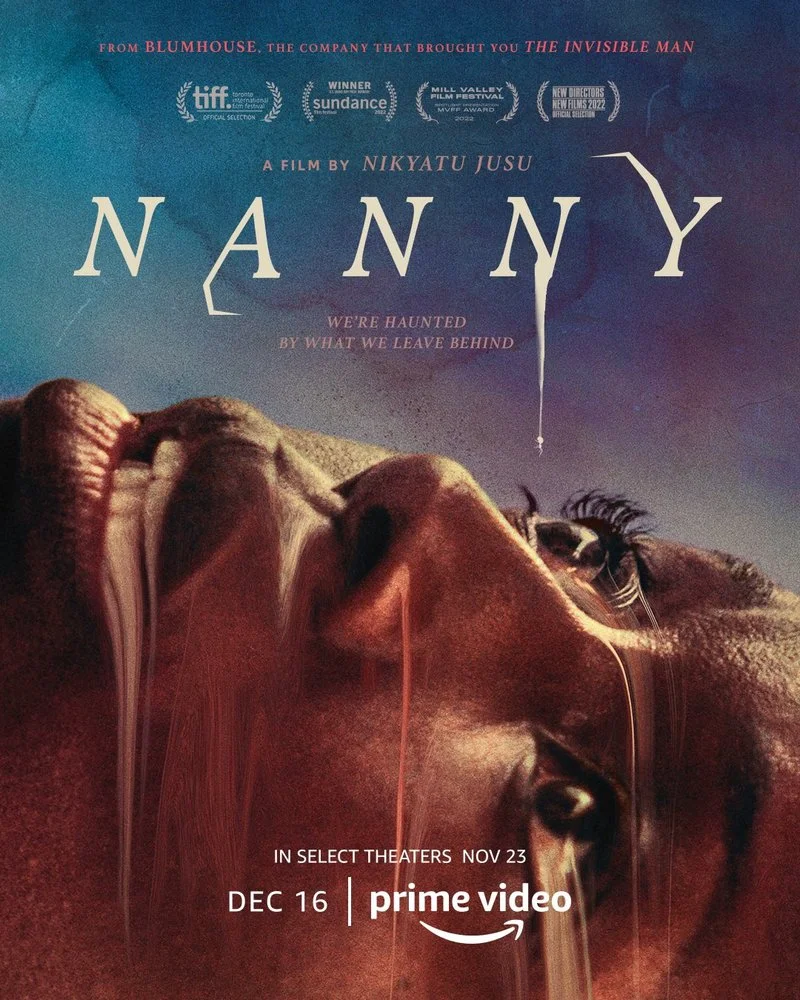 Poster van NANNY