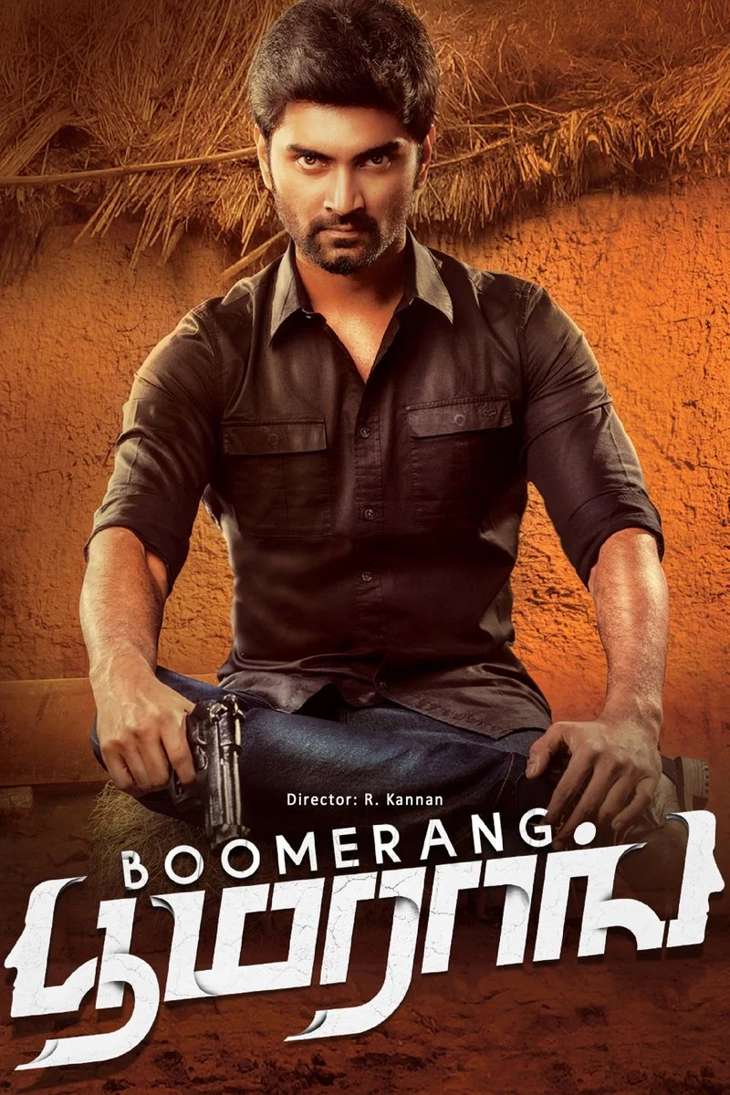 Affiche de Boomerang