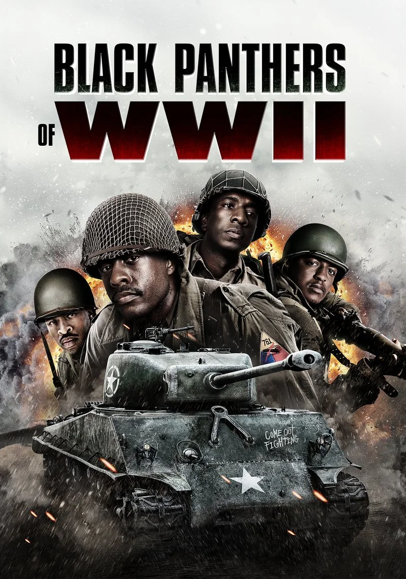 Poster van Black Panthers Of WWII