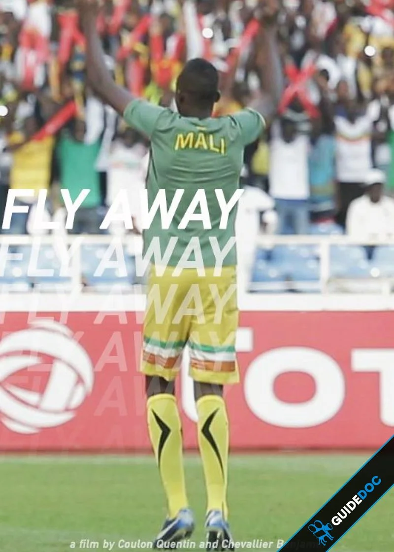 Poster van Fly Away