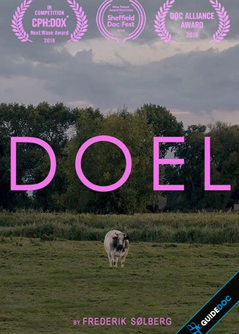 Affiche de Doel