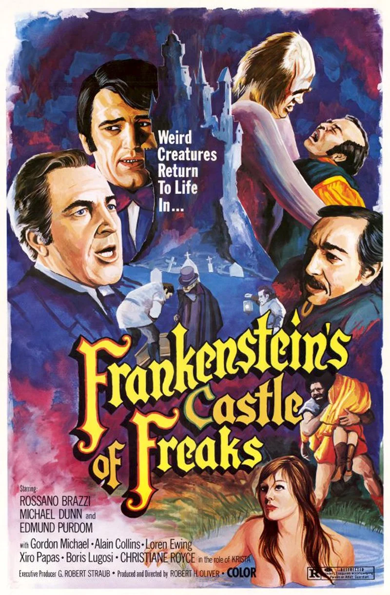 Affiche de Le château de l'horreur