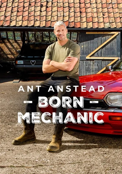 Affiche Ant Anstead: Born Mechanic