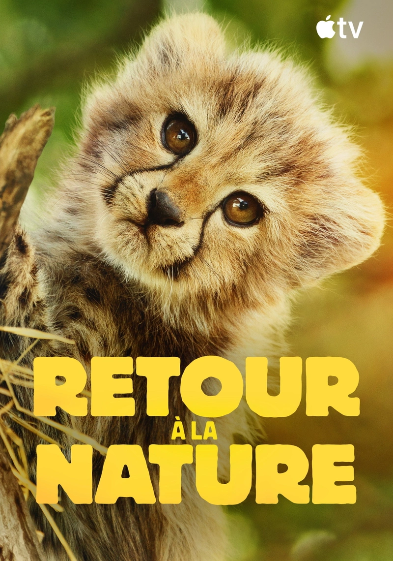 Affiche de Born to Be Wild