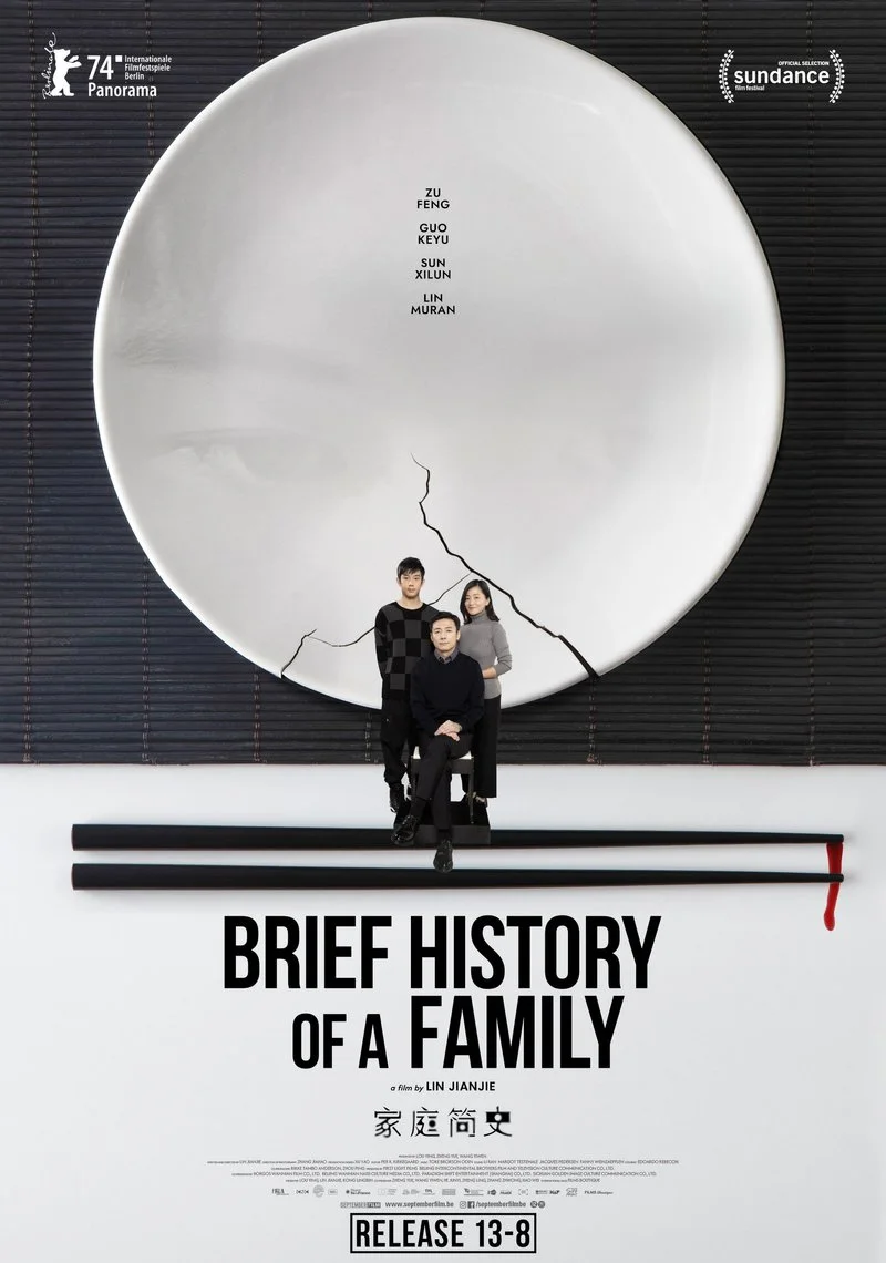 Poster van Brief History of a Family
