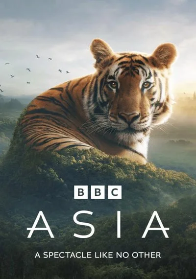 Affiche Asia