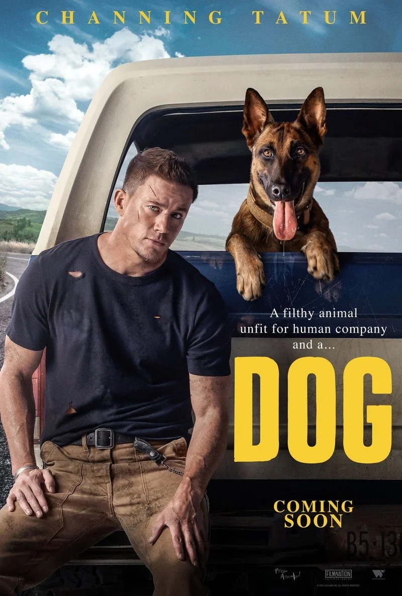 Affiche de Dog - Le bonheur à quatre pattes