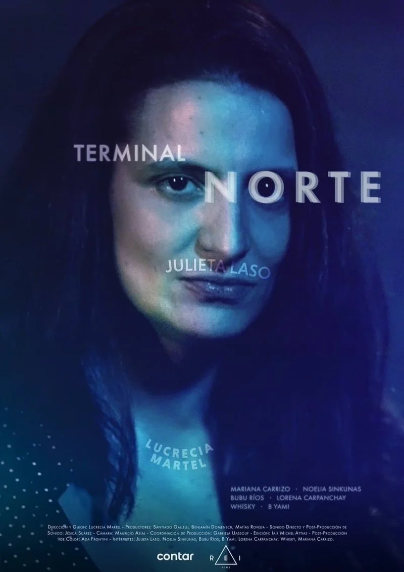 Affiche de North Terminal