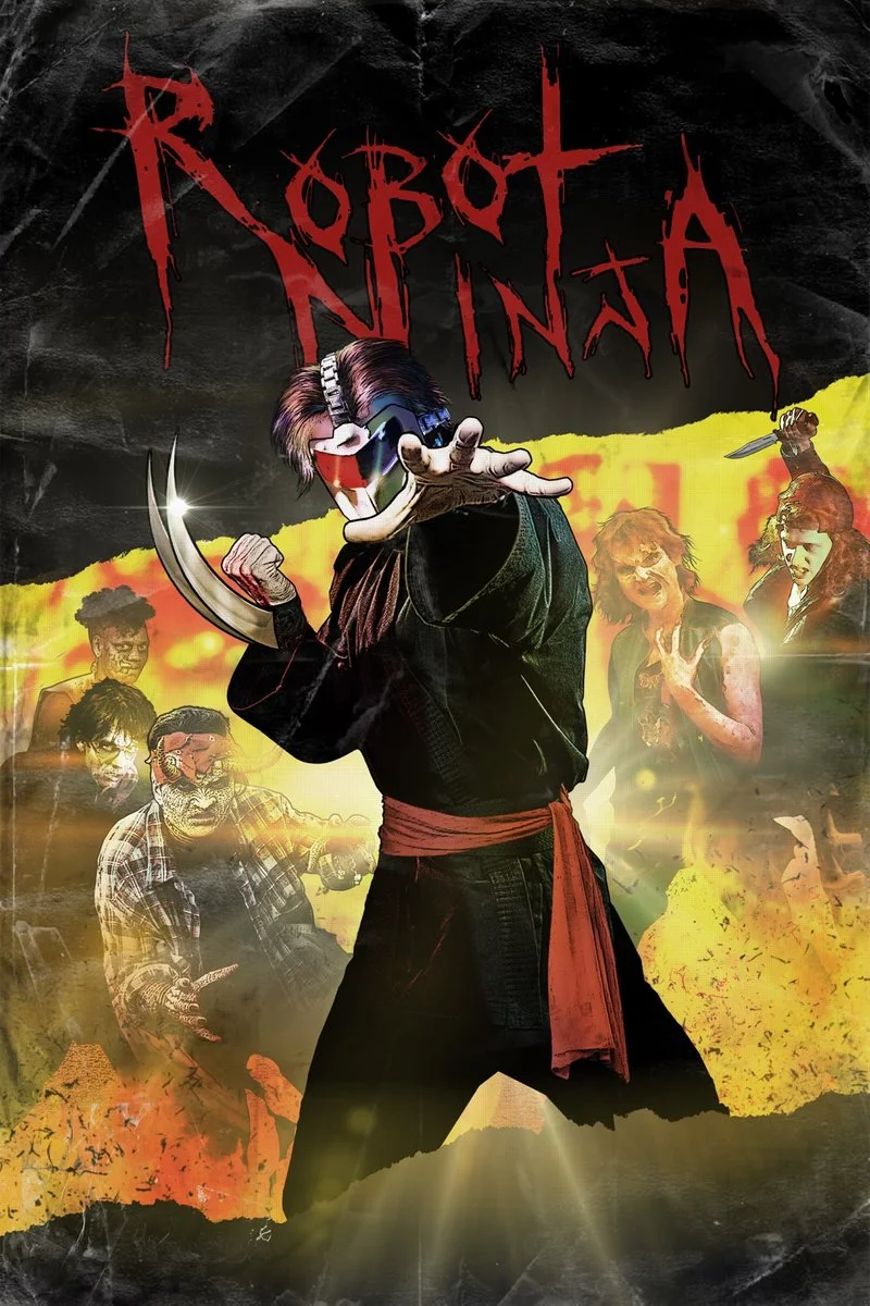 Affiche de Robot Ninja