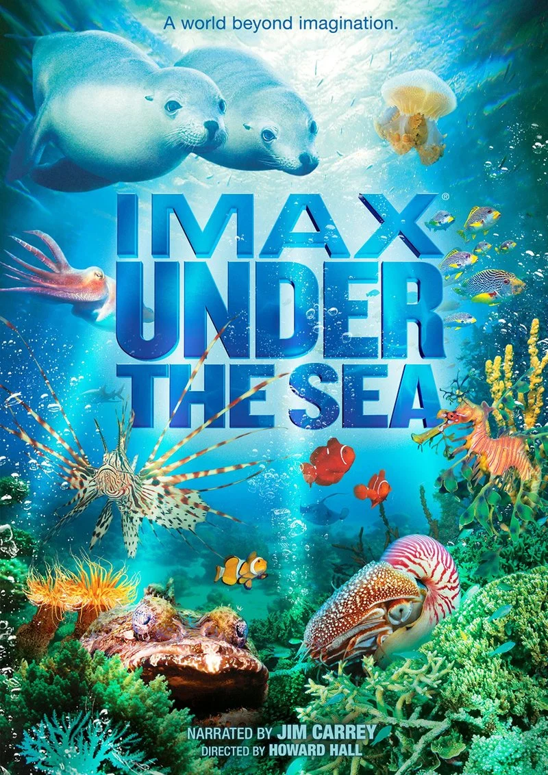 Affiche de Coral Kingdoms