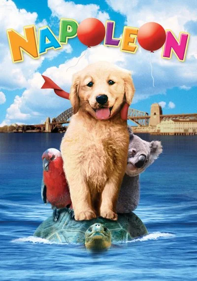 Poster Napoleon