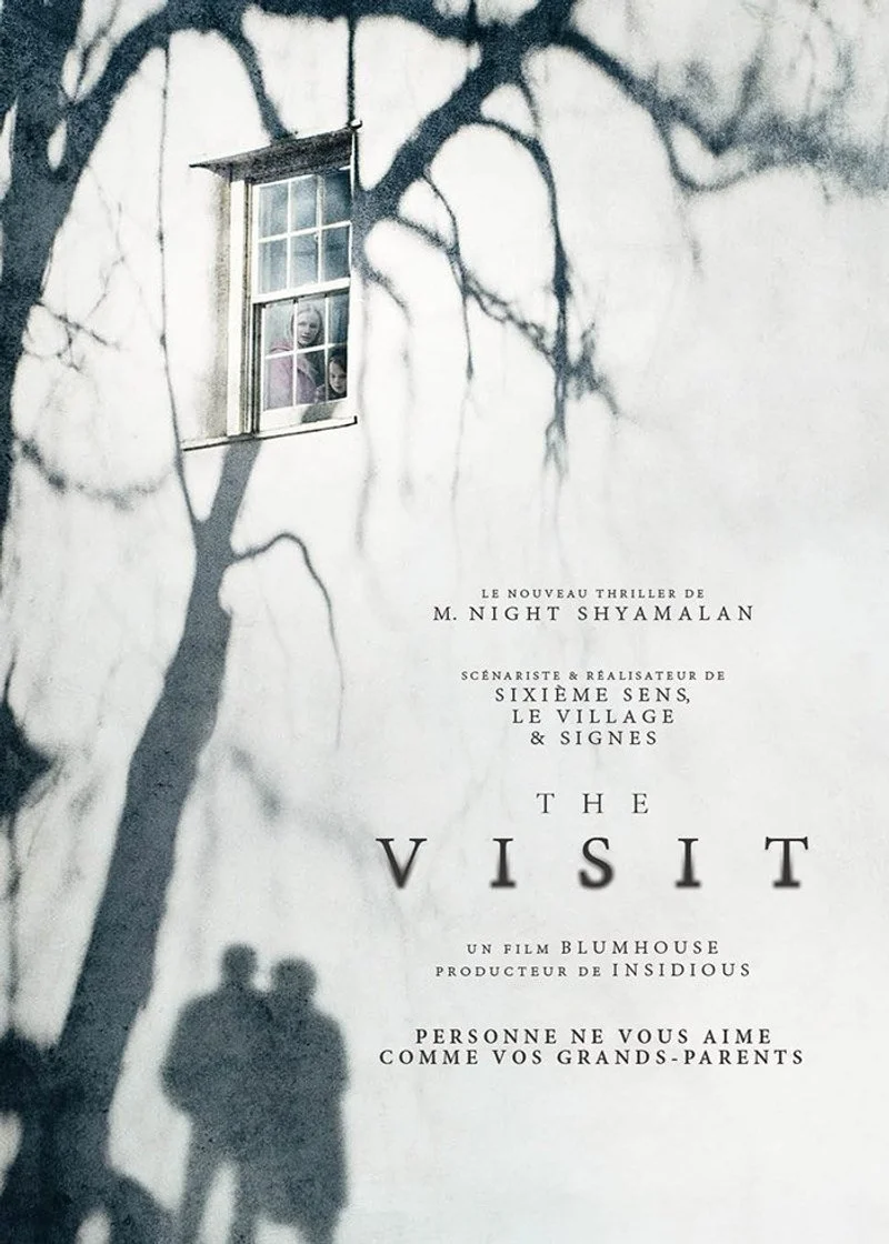 Poster van The Visit