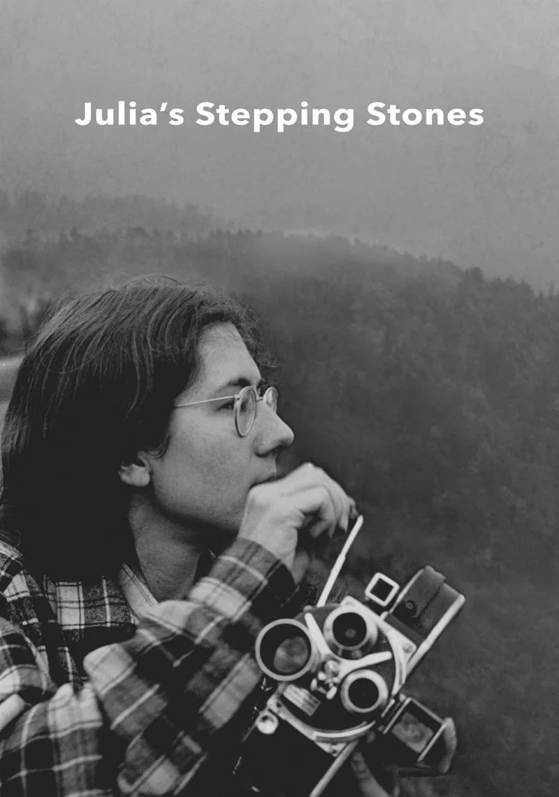 Affiche de Julia's Stepping Stones