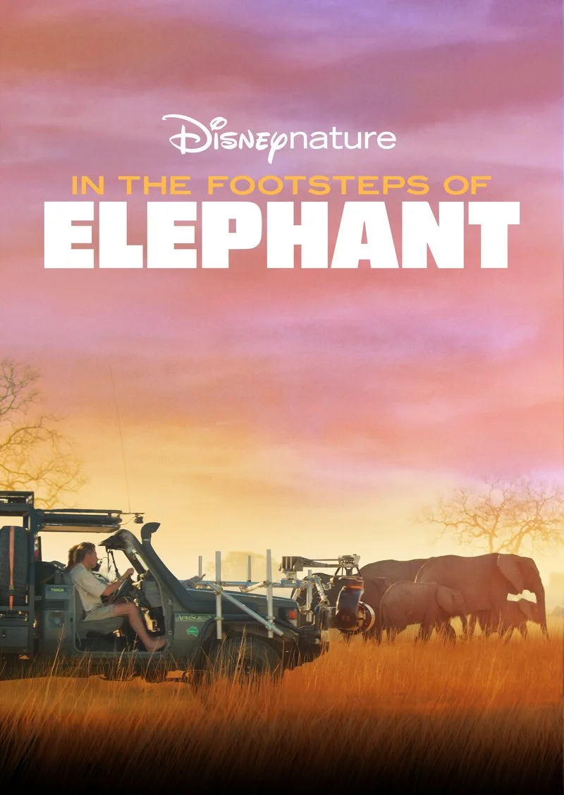 Poster van In the Footsteps of Elephant