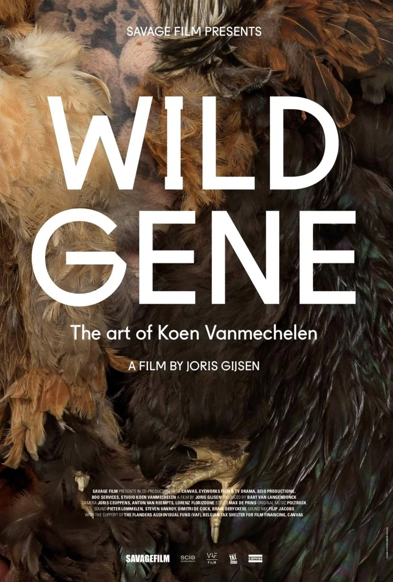 Affiche de Wild Gene