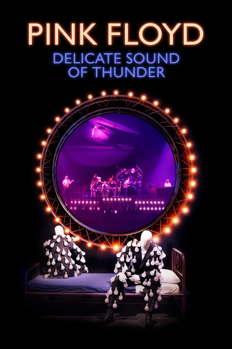 Poster van Pink Floyd : Delicate Sound of Thunder