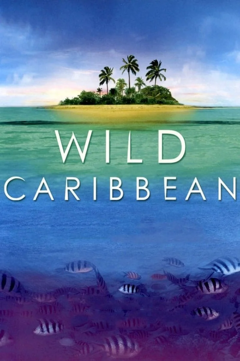 Affiche de Wild Caribbean
