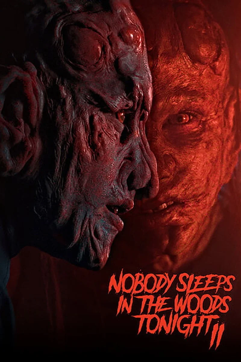 Poster van Nobody Sleeps in the Woods Tonight 2