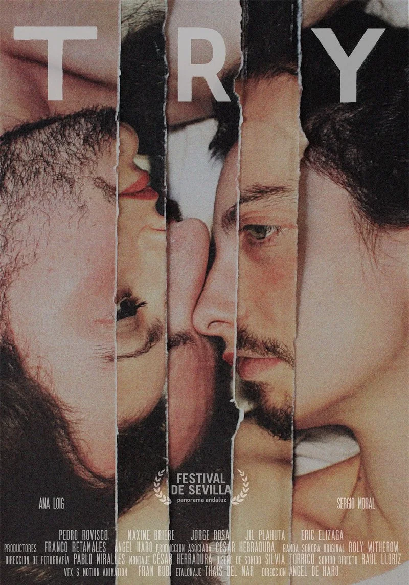 Affiche de TRY