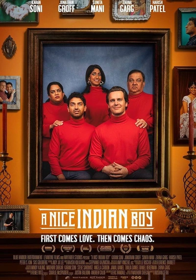 Poster A Nice Indian Boy