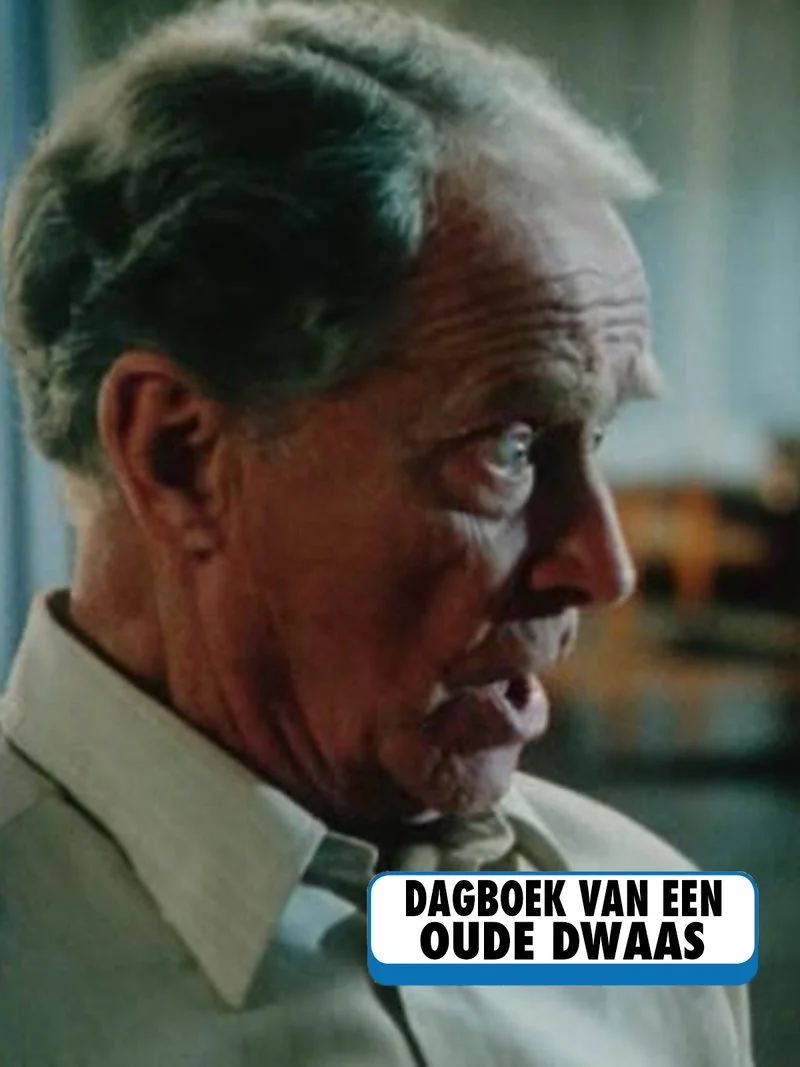 Affiche de Dagboek van een Oude Dwaas