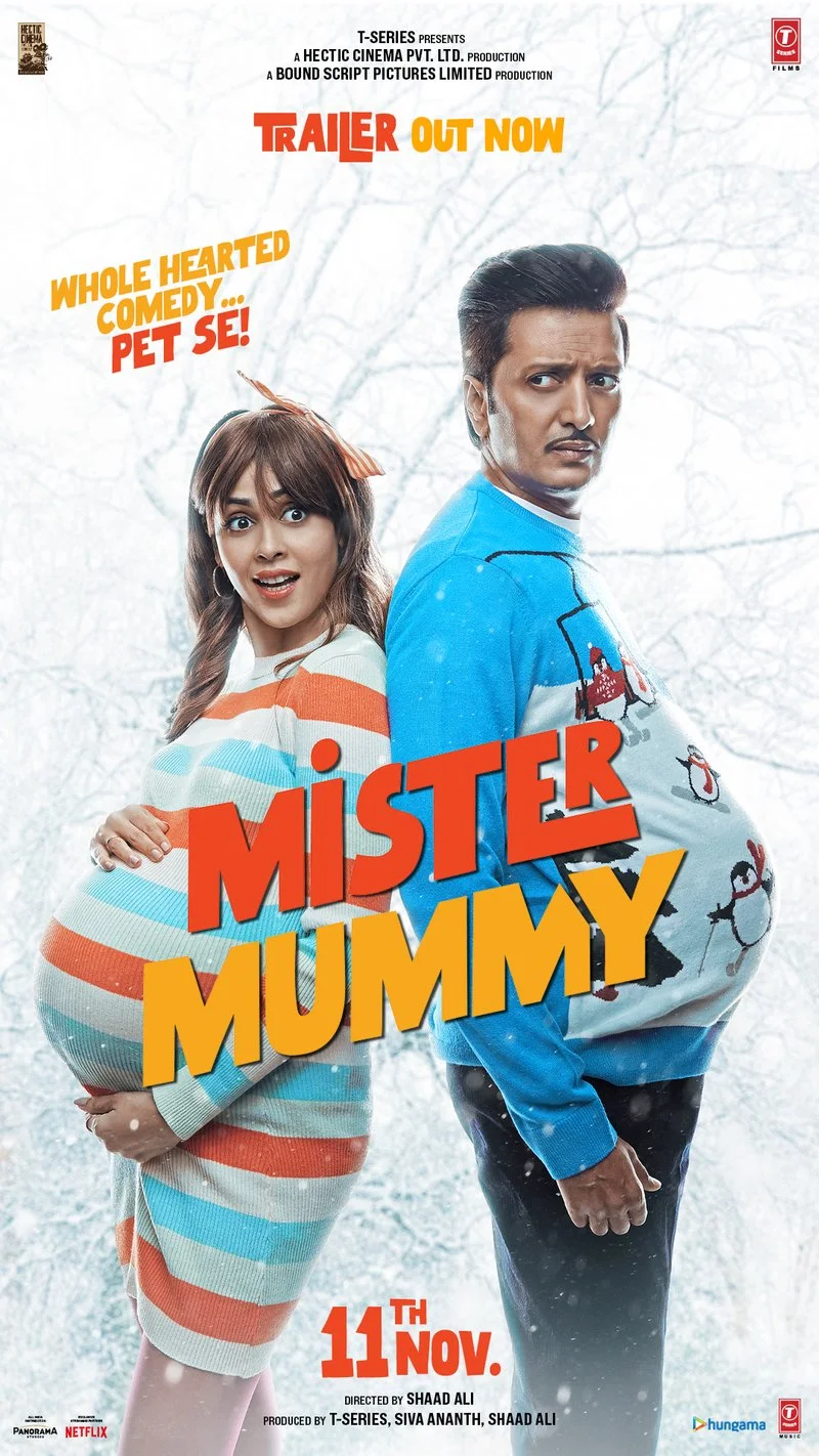 Affiche de Mister Mummy