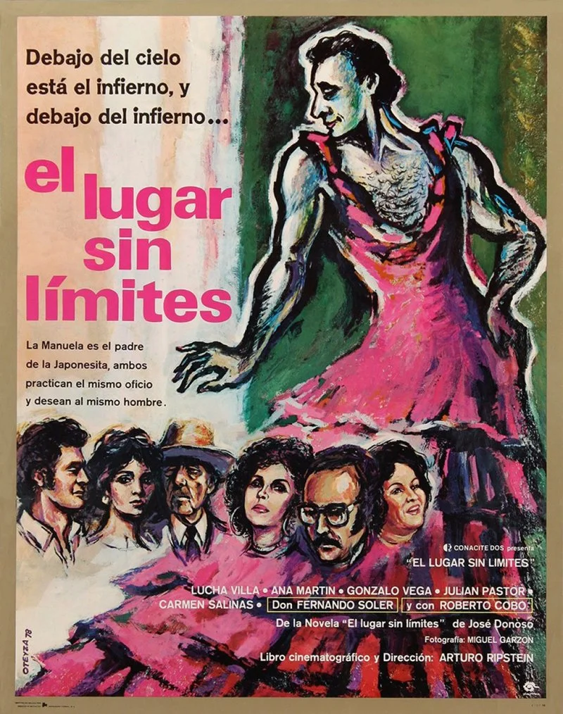 Affiche de The Place Without Limits