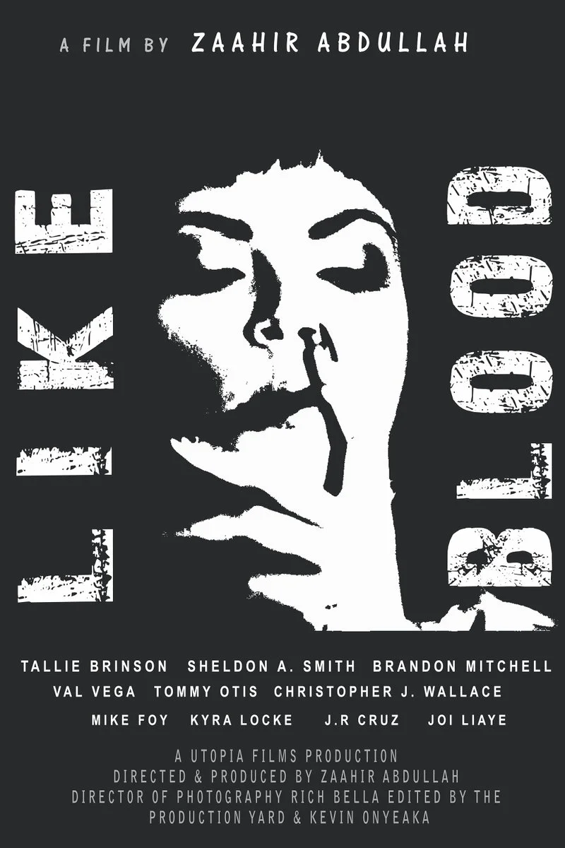 Affiche de Like Blood