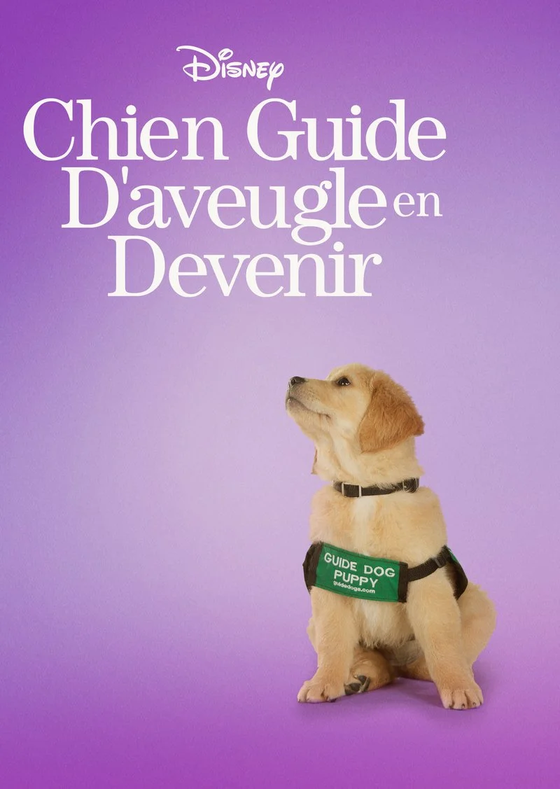 Affiche de Chien Guide D'aveugle en Devenir