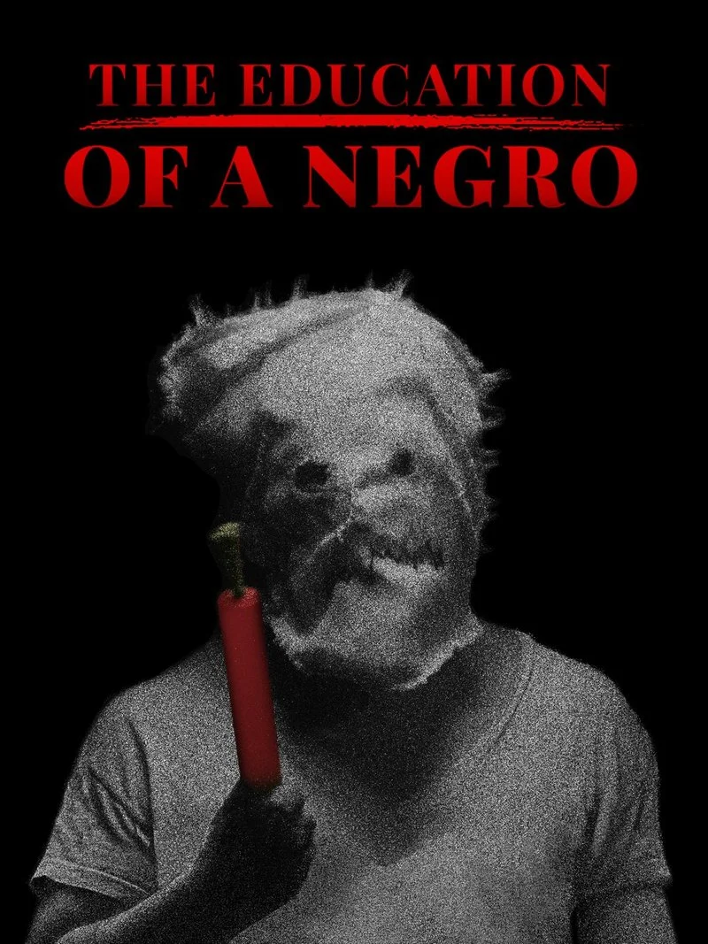 Poster van The Education of a Negro