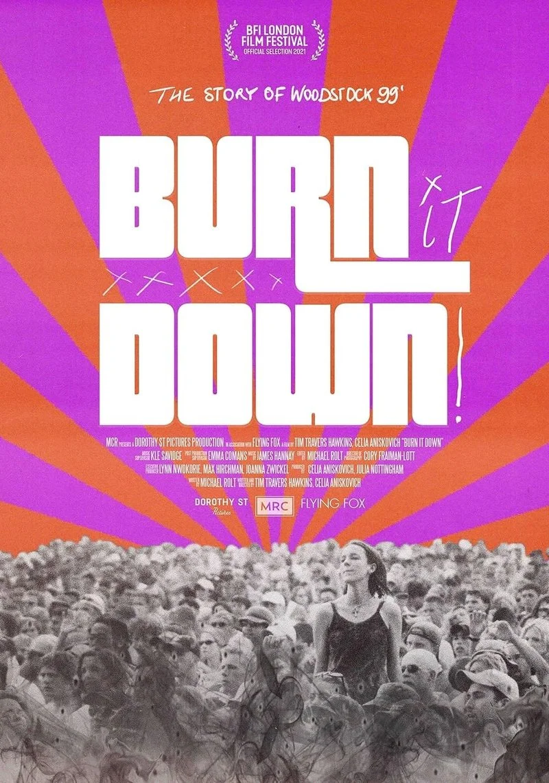 Affiche de Burn It Down!