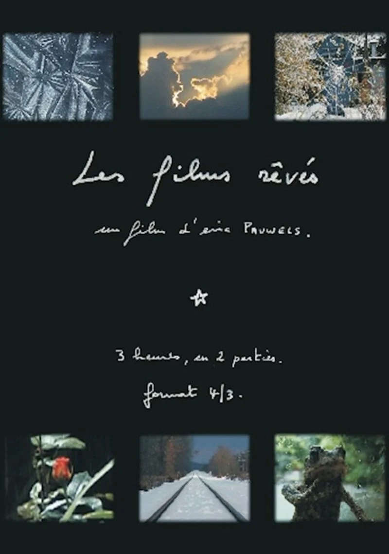 Poster van Les films rêvés