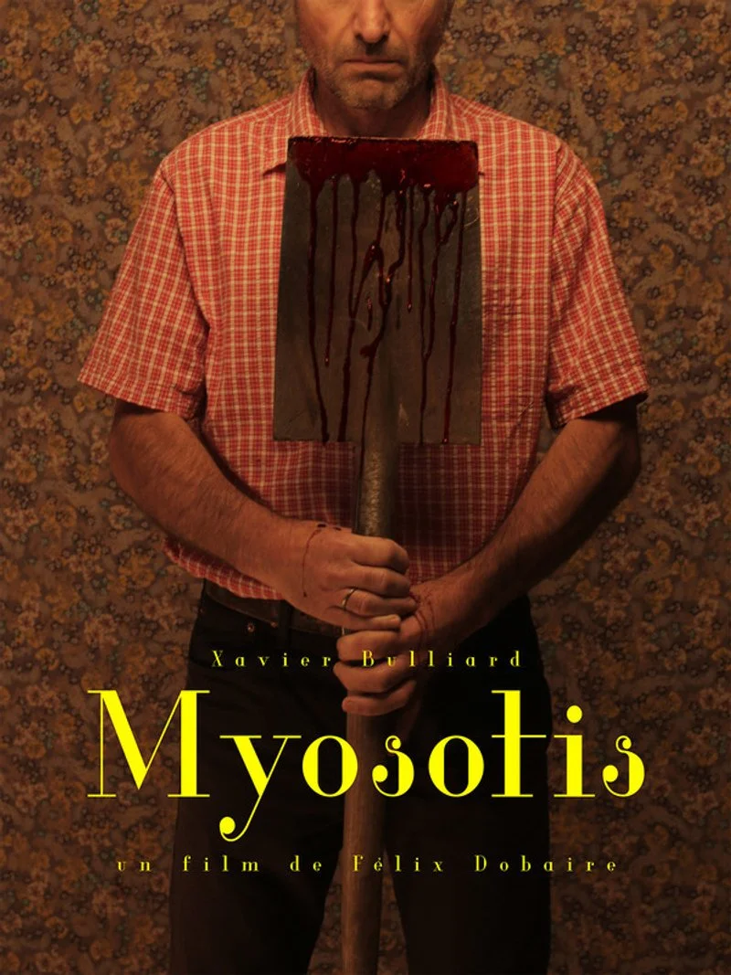 Poster van Myosotis
