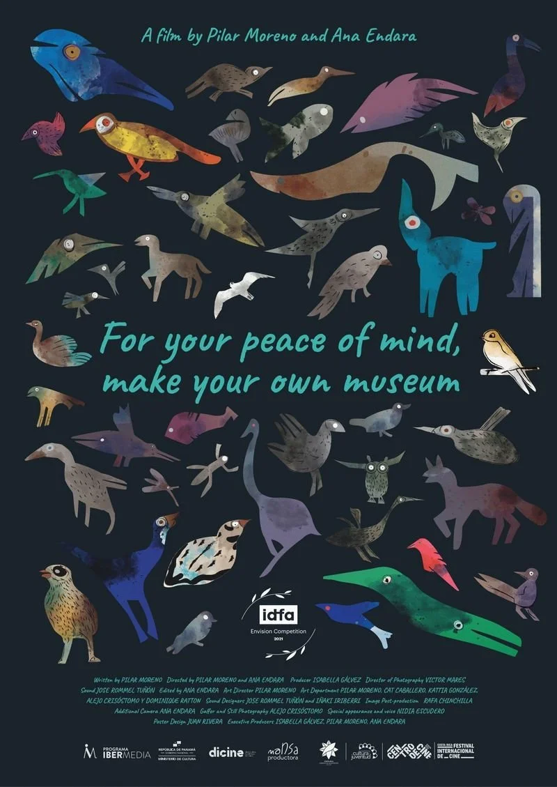 Affiche de For Your Peace of Mind, Make Your Own Museum