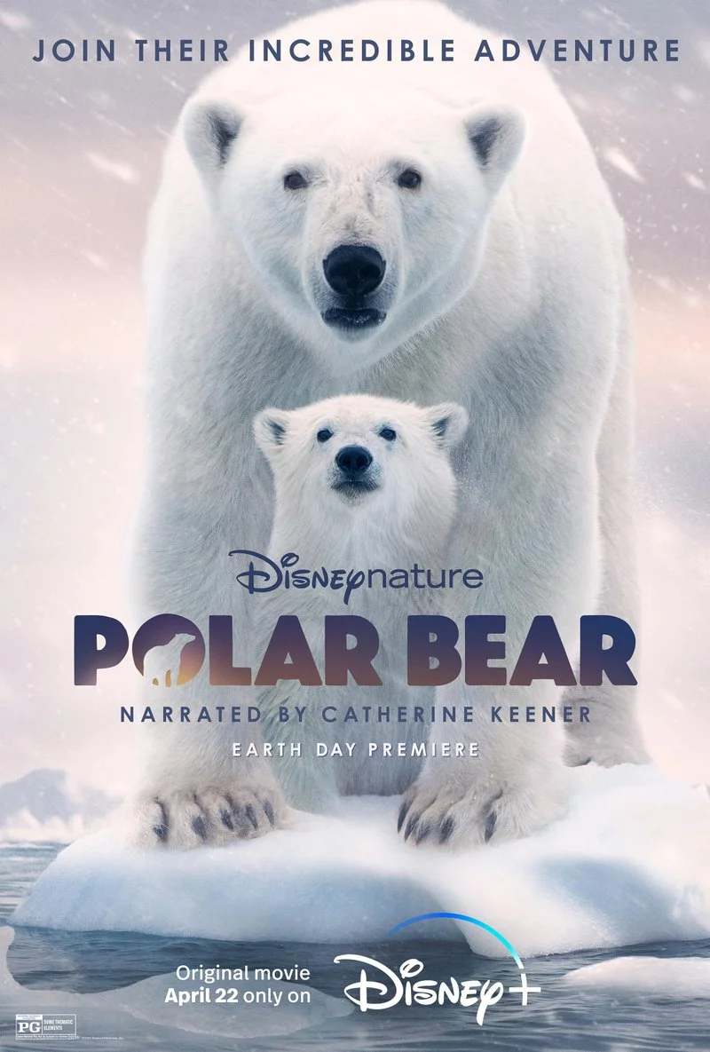 Affiche de Polar Bear