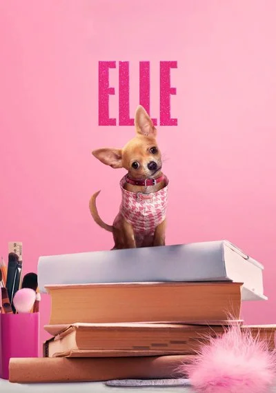 Affiche Elle