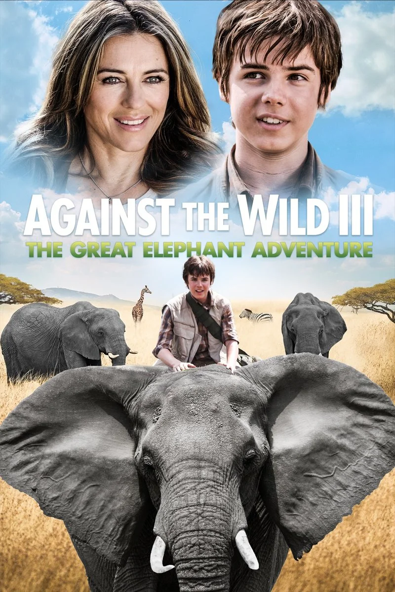Affiche de Le safari de tous les dangers 2