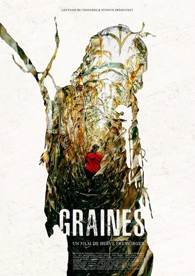 Poster Graines