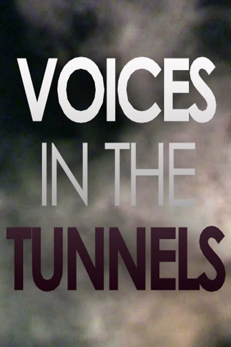 Poster van Voices in the Tunnels