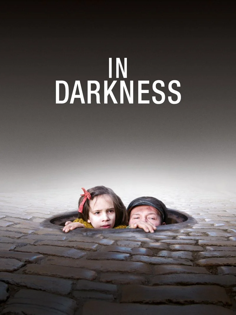 Affiche de In Darkness