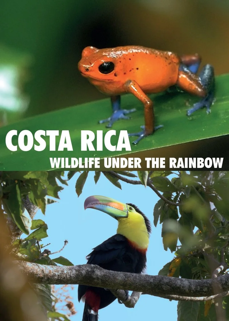 Affiche de La vie sauvage du Costa Rica